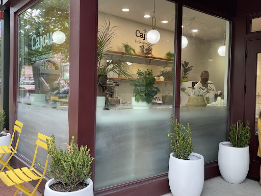 Cajou Plant-Based Ice Cream